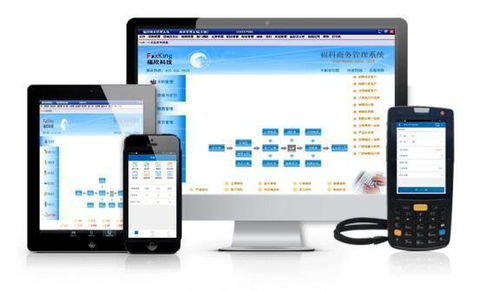 廣東喜記食品攜手福科軟件，以數(shù)字化解決方案提升運營效率促長遠發(fā)展